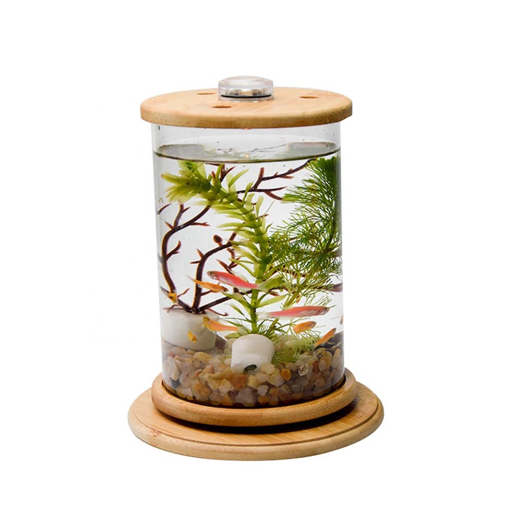Products Plastic 6-Gallon AquaView 360 Aquarium Kit for Tropical Fish, Betta Fish with LED Lighting and Power Filter Clear
