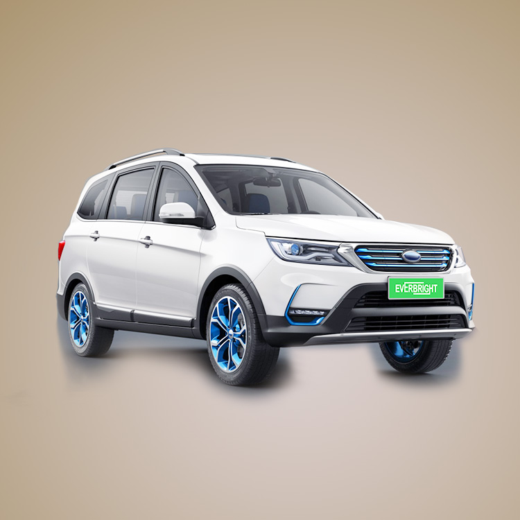 2020 Everbright Новый электромобиль/автомобиль 7 мест внедорожник на продажу