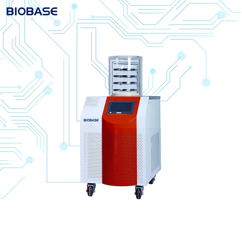 BIOBASE China Vertical Freeze Dryer Tabletop Mini Food Freeze Dryer Freeze Drying Equipment machine