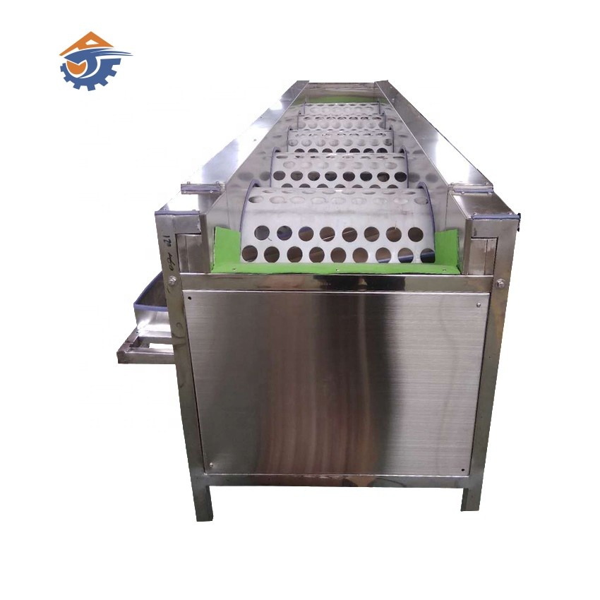 Buy sweet potato tomato sorting machine grading machine for round shape fruit