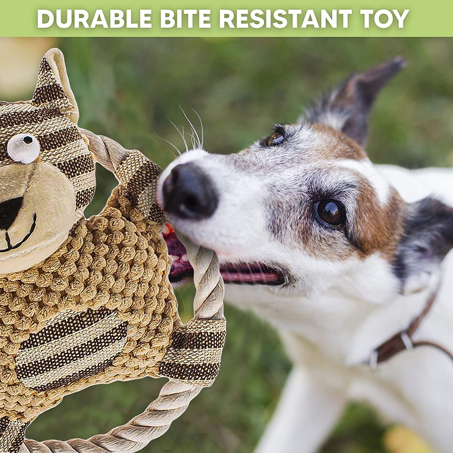 Wholesale Manufacturer New Design Interactive Dog Plush Chew Squeak Pet Toys Set