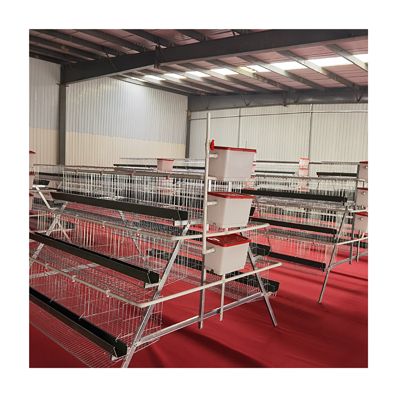 good price egg layer chicken farm laying hens poultry feeders animal cages
