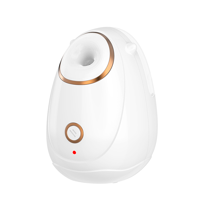 FOCSTAR Hot Mist Moisturizing Sprayer Deep Cleaning Home Facial Spa Humidifier Nano Ionic Face Steamer (BY1019)
