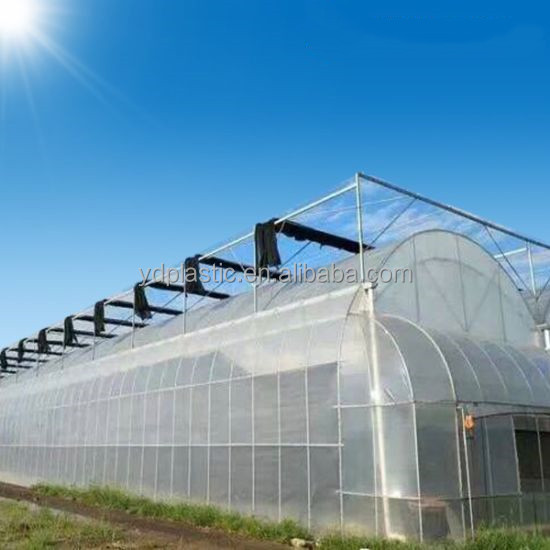 PE Sun Proof Anti-Fog Anti-UV Greenhouse Film