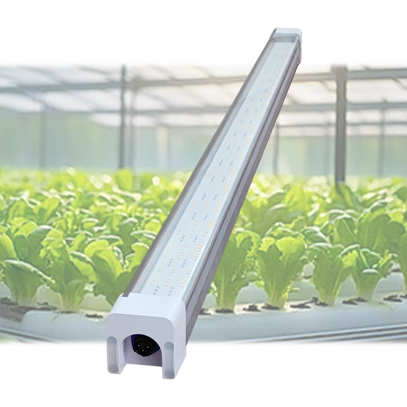 Customized Led Tube 100W 120W 281B Or 3030 SMD LED Full Spectrum Hydroponic System Veg Clone Seedling Led Grow Light Tube