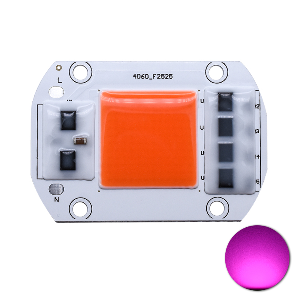 Czinelight 220V 4060 Rectangular Cob Lamp Beads 110V High Voltage Full Spectrum Free Drive 20W 50W Surface Light Source