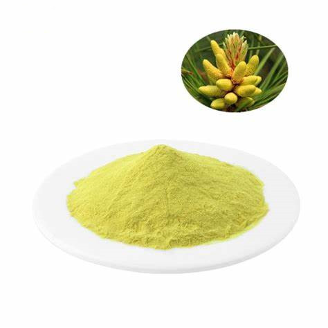 Wholesale 100% Pure Natural Fower Pine Bee Pollen Powder