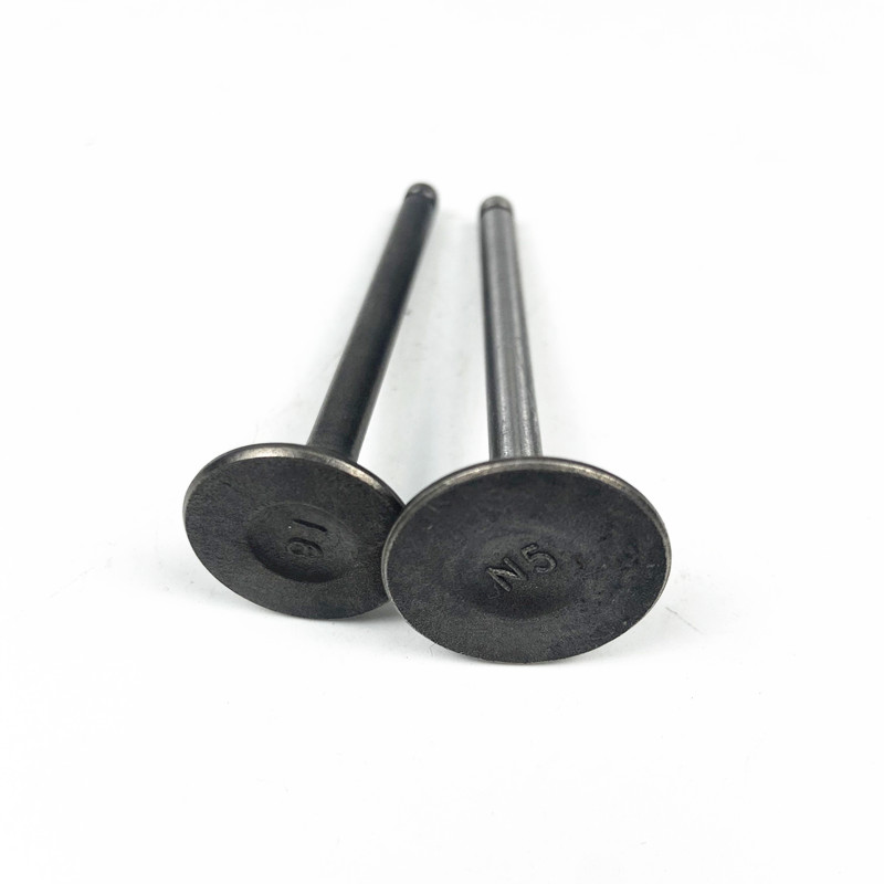 Good quality motorcycle engine valve for SUPRA