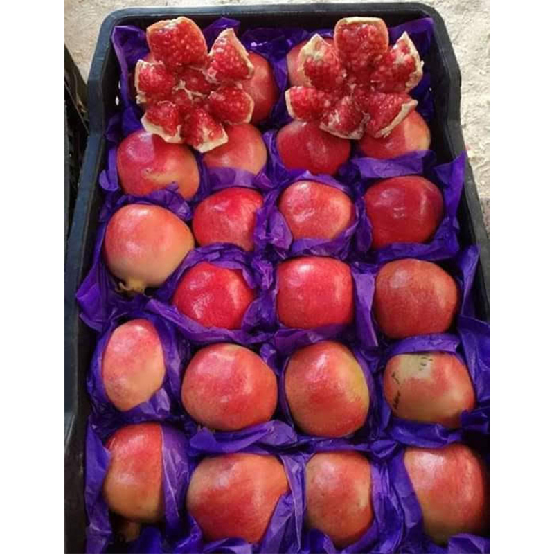 100% Natural Healthy Swet Fresh Pomegranate Fruit with Cheap Price