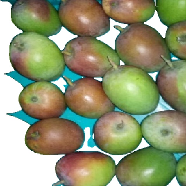 Сулакарека манго