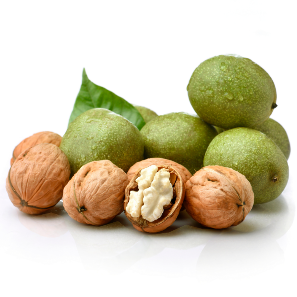 walnut georgia tbilisi walnuts turkey kernels