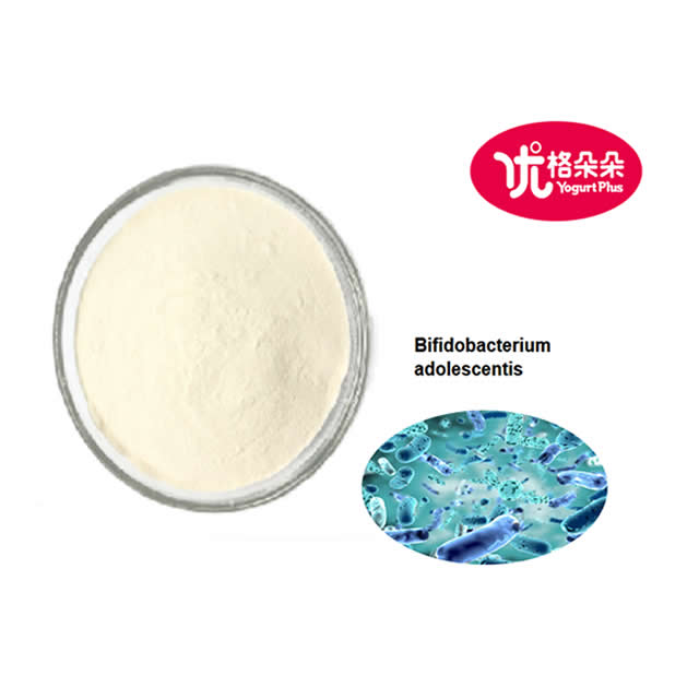 Freeze-dried Bifidobacterium adolescentis 100 Billion CFU/g