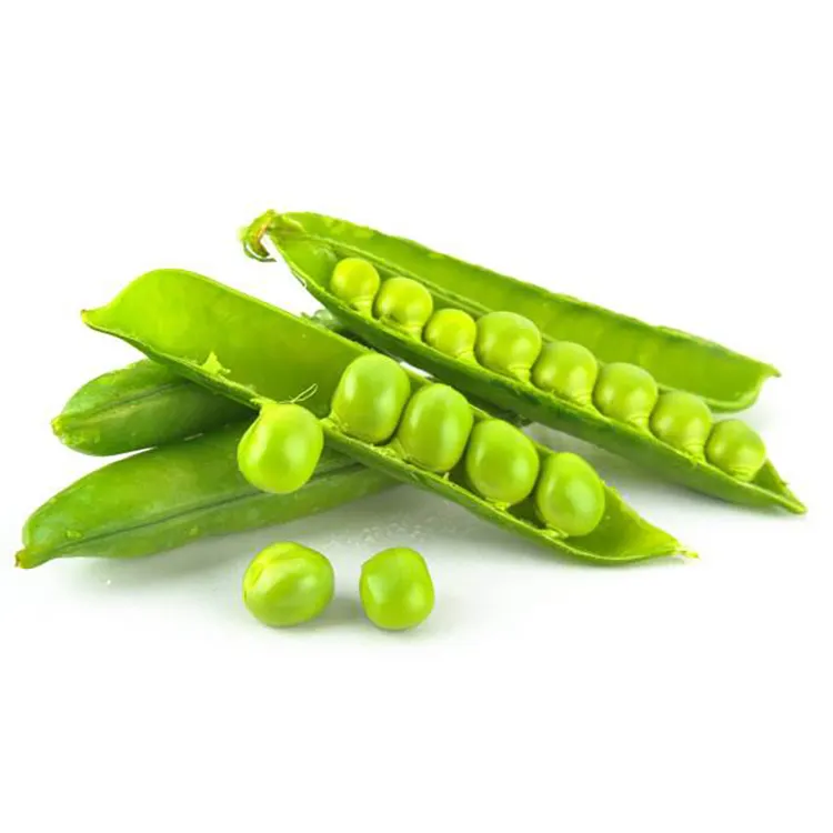 Natural Vegetable Bulk Green Peas with Good Price