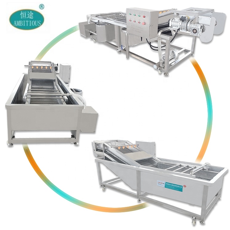 Industrial Full automatic Disinfectant Vegetable and Fruit Bubble Washing and Drying Machine Price for Sales