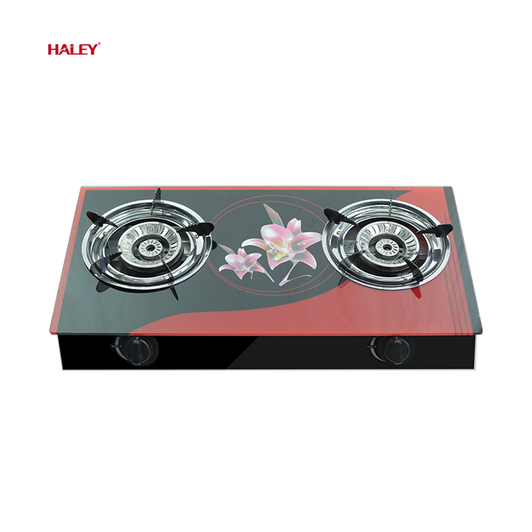 Стеклянная газовая плита HALEY, новая модель, высокое качество, нержавеющая сталь, 2 природных газовых горелки, варочная панель, плита