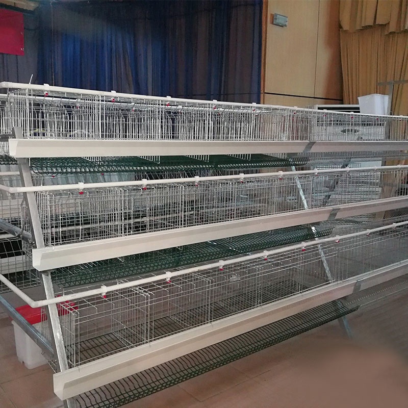 best galvanized chicken layers cages for 10000 chickens