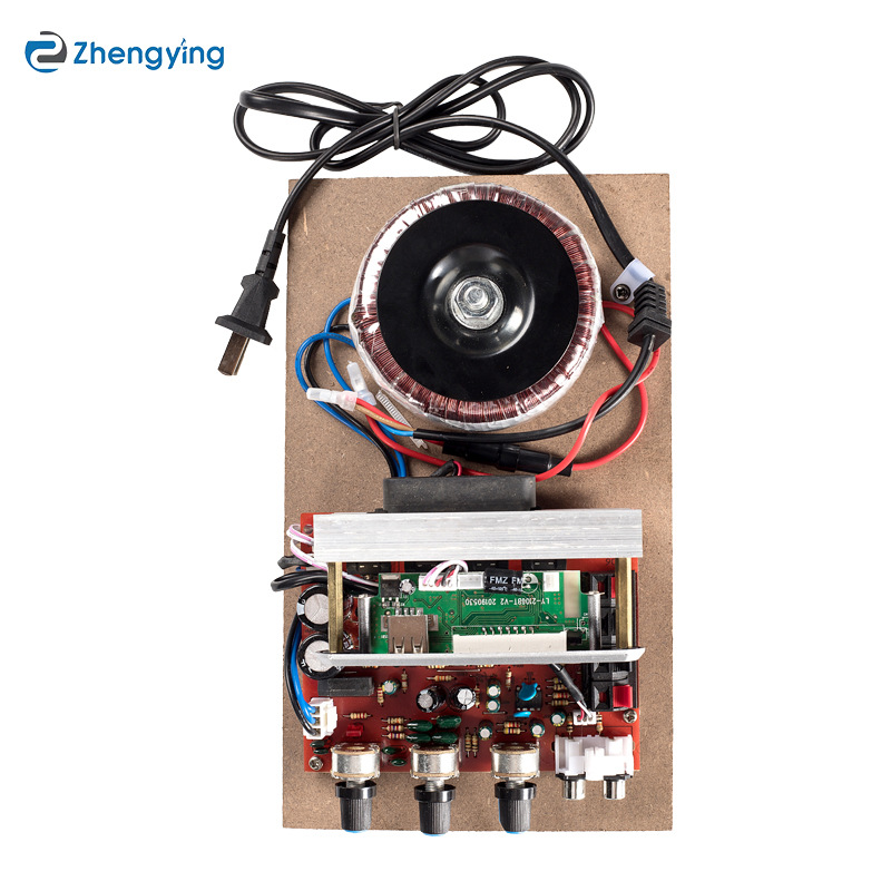 220 В Высокая мощность DIY модифицированный USB Bt HIFI уровень lossless fever уровень Профессиональный усилитель мощности плата модуль комплект