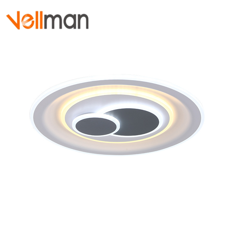 2021 Fashion surface modern acrylic ring round ultra thin small ceiling lamp