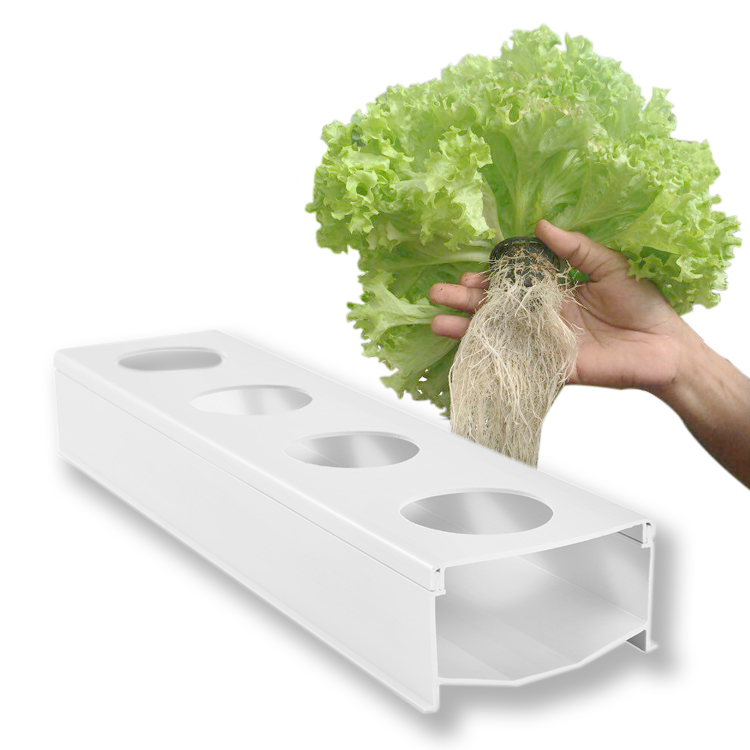 Hydroponic Greenhouse Soilless Culture Plant NFT channel