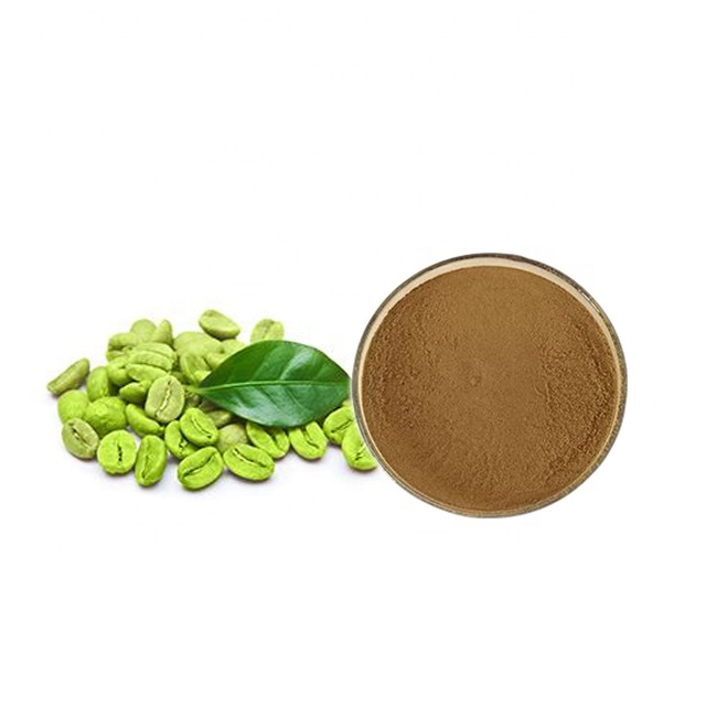 Custom 50% chlorogenic acid manufacturer supply green coffee bean raw material powder extract