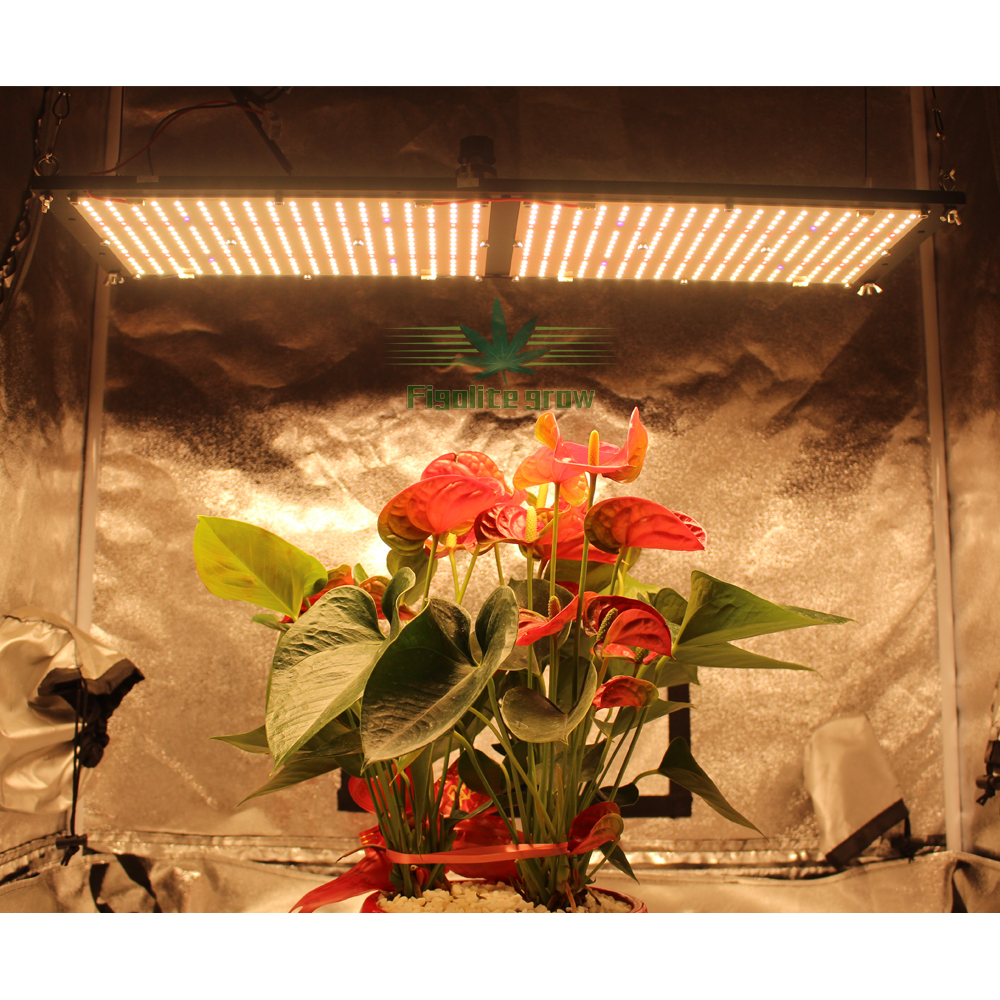 Светодиодная панель Figolite grow FG2000-V2-PLUS 240W, светильник с регулируемой яркостью Meanwell