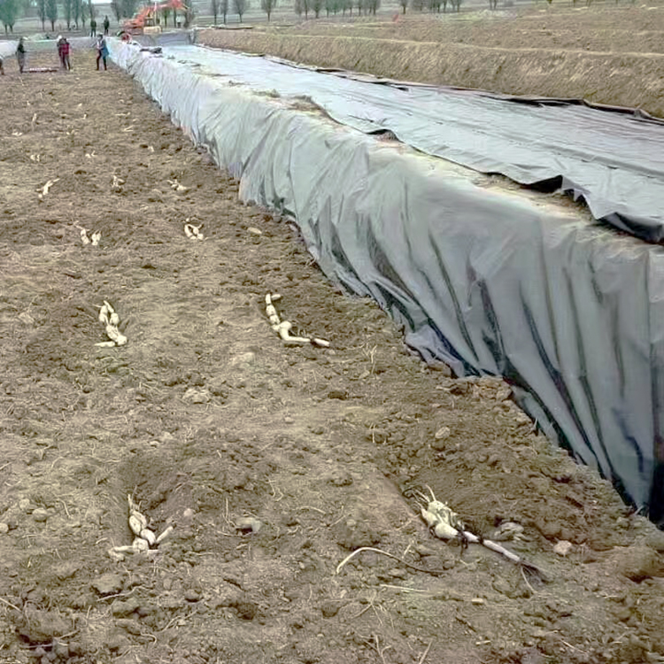 Заводская Прямая поставка Hdpe Lldpe 1,5 мм геомембрана для рыбного пруда в Боливии низкая цена