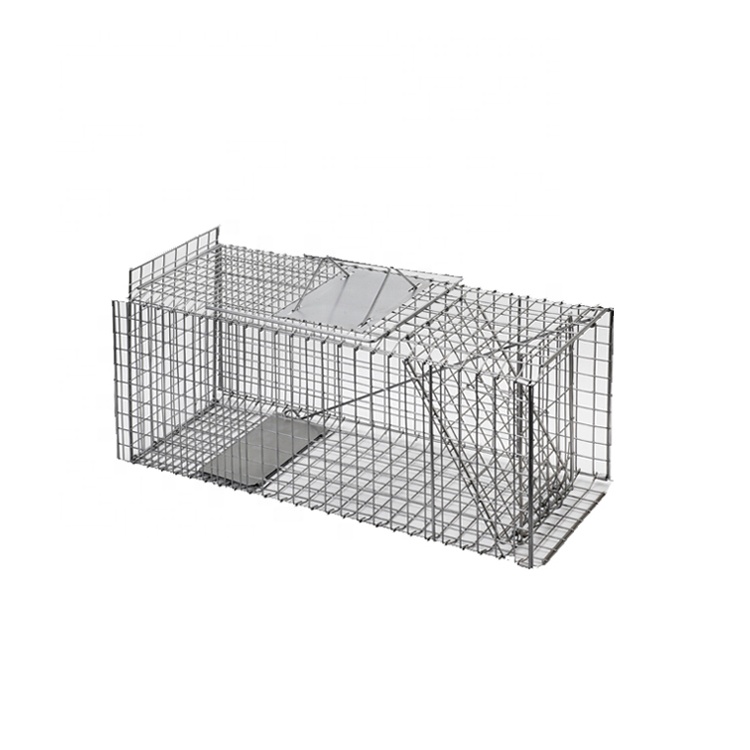 Collapsible One-door Live Animal Cage Trap for Groundhog Opossum Armadillos