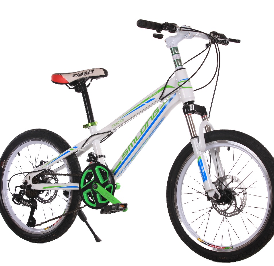 Factory Manufacture Various Adult Electric Cycle Bicycle Mountain Bike For Kids