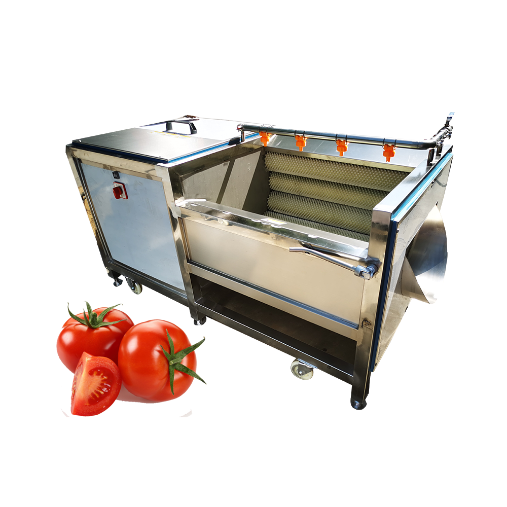 Brush Type Fruit Cleaning Machine Tomato Washing machine Price For Sale