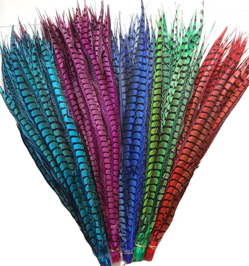 SF885 lady amherst pheasant feathers for sale with high quality