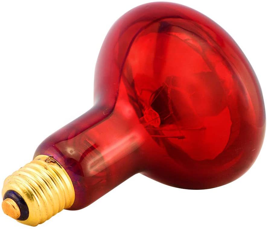 Hongxin Infrared Physiotherapy Medical Lamp Bulb for Back Pain