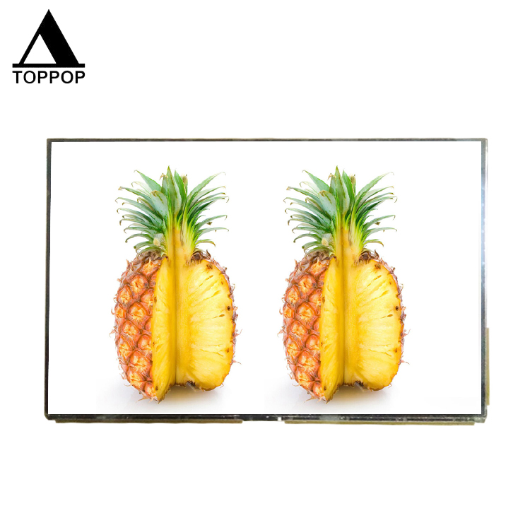 10,5 дюймовый 2560*1600 MIPI IPS 2K AMOLED дисплей OLED Сенсорная панель TFT ЖК-модуль с мульти-Touch емкостной сенсорной панелью
