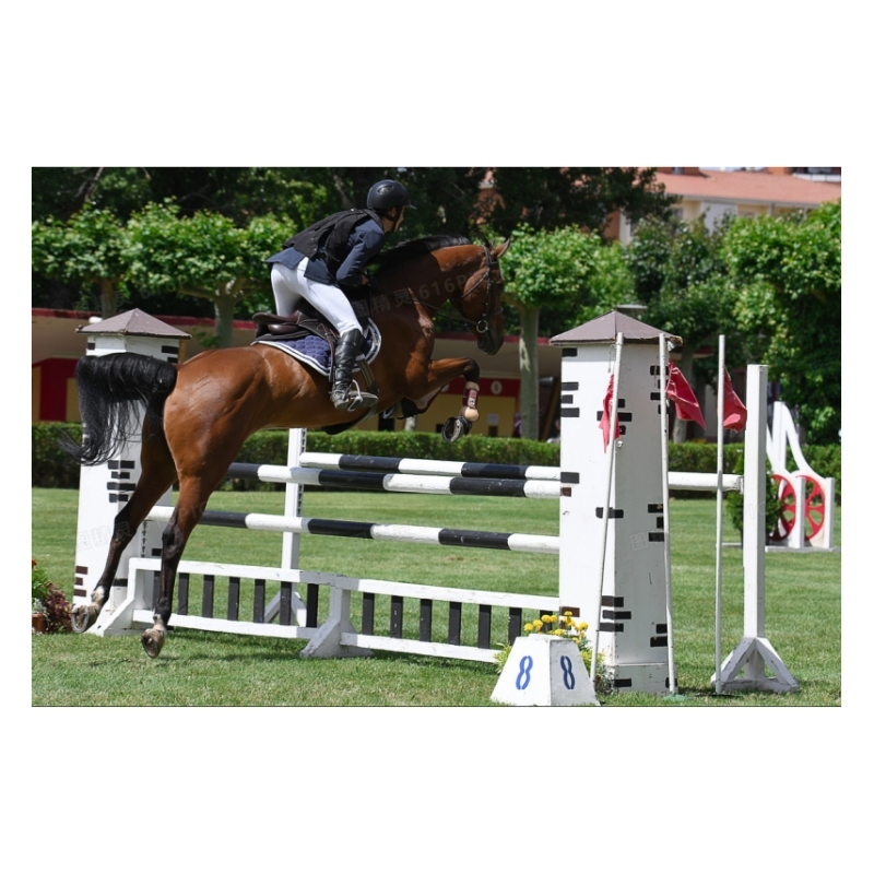 Wholesale Good Quality Jumping Inflatable Animal and Inflatable Jumping Horse Horse Jumping Obstacles