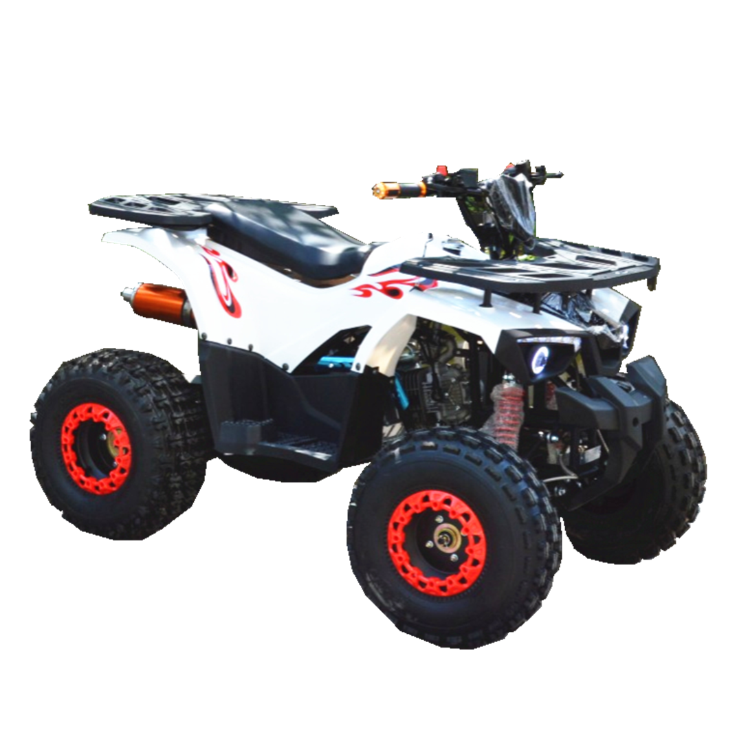 110cc 125cc ATV для детей 4-х тактных, горячие салов atv, дешево atv для продажи atv 250cc 4x4