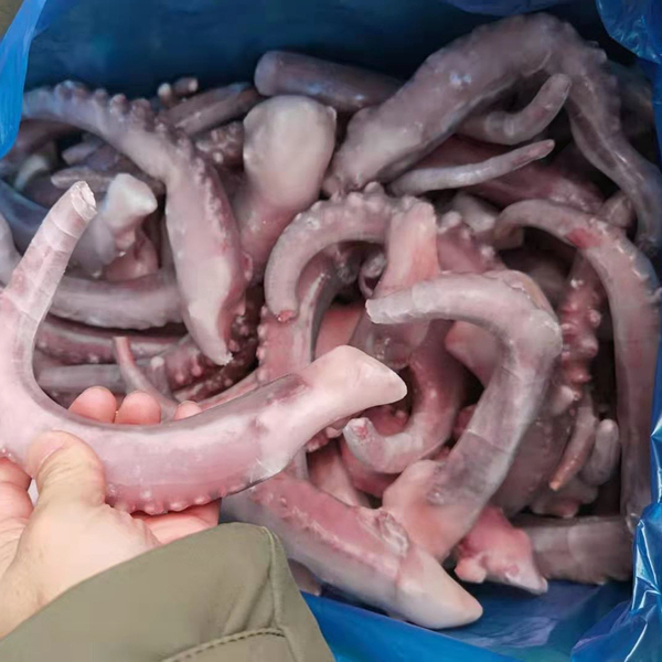 Замороженный гигантский кальмар, наконечник из силикона, замороженные насекомые кальмары для рынка Таиланда