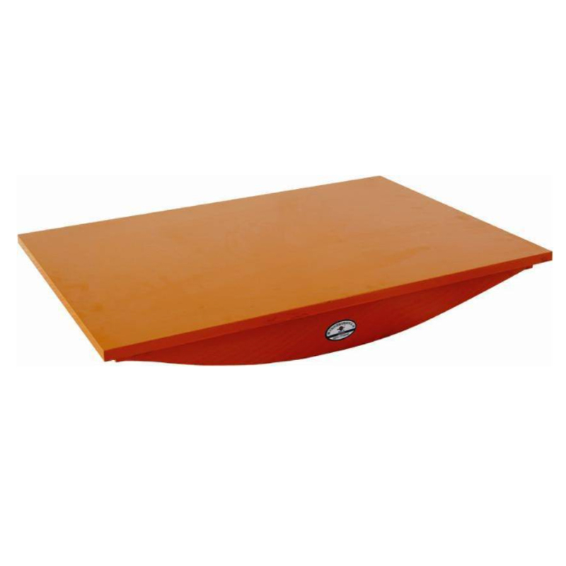 High Quality Physiotherapy Vestibular Balance Board