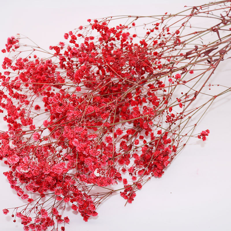 Праздничные подарки, цветы, искусственные Свадебные консервированные babysbreath
