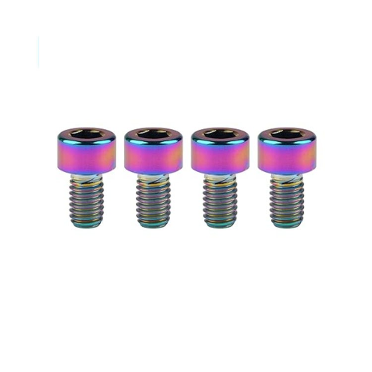 Titanium Ti M6x10 15 18 20 25 30 35 40 Socket Allen Hex Bolt