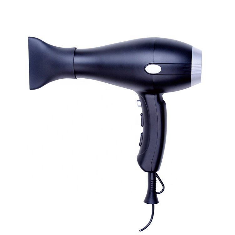 Fast Drying Professional Hair Dryer No Noise 2000-2200W