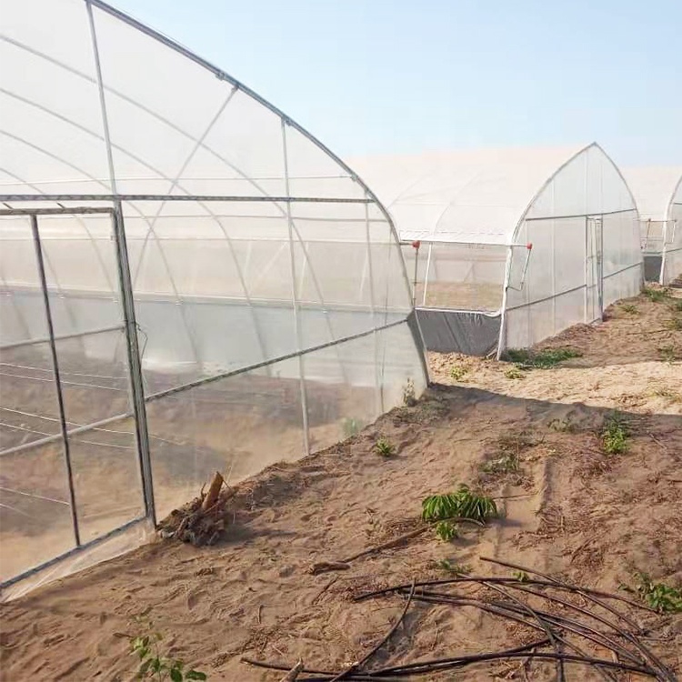 Single-span tunnel clear plastic film greenhouse
