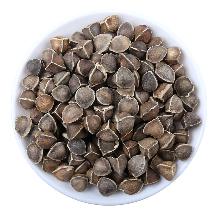 high quality natura loleifera dried bulk buyers price moringa seeds for sale