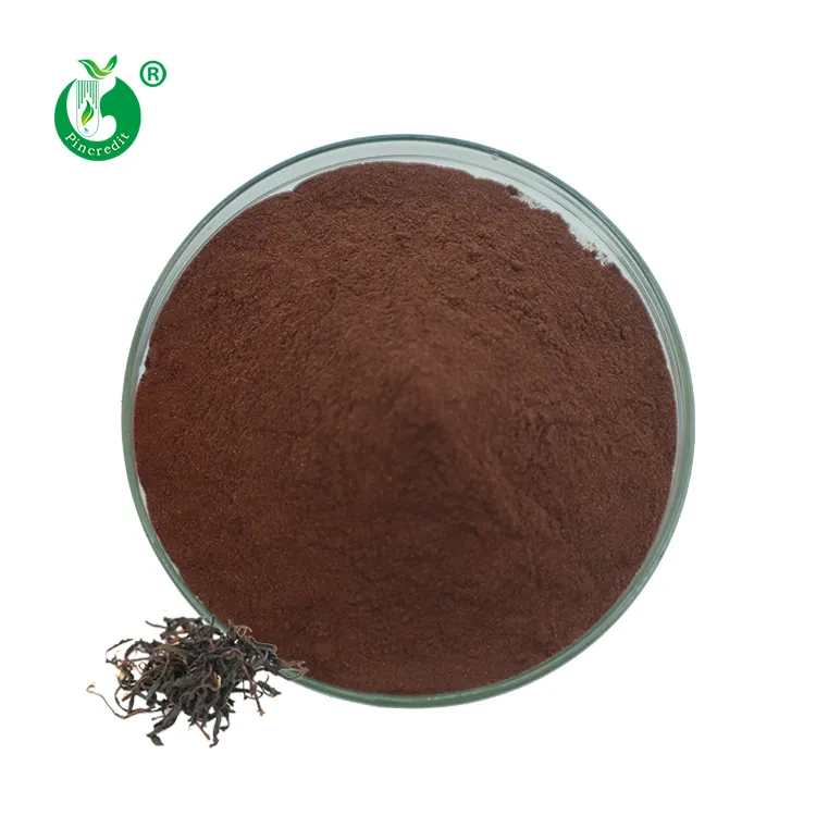 Black Tea Extract Powder Pincredit Supply High Quality Organic Instant Black Tea Extract Powder