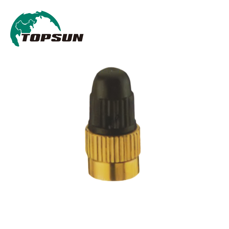 CA1-CU Valve Cap-Brass