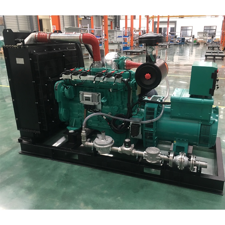 Электростанция для домашнего использования 80kW lpg, Электрогенератор с водяным охлаждением 100kVA, электрический генератор с газом