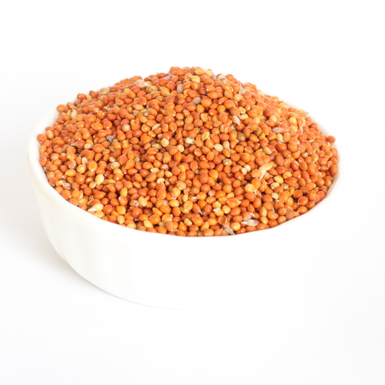 Высококачественная красная метла, кукуруза proso broomcorm millet