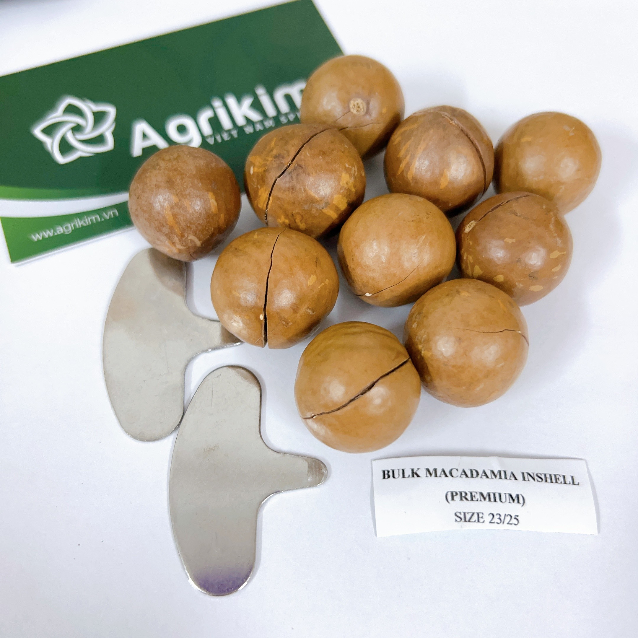 [Free Samples] Vietnam Macadamia Nuts Premium Quality All Grades Raw Macca Nuts from Best Supplier WS +84.359313086