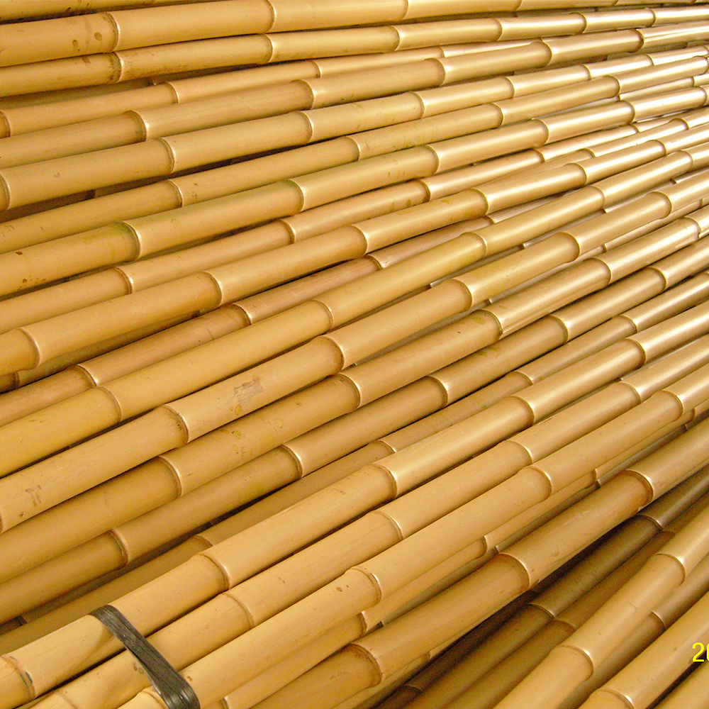 Dried treated bamboo poles canes stakes poles bamboo raw material support from china