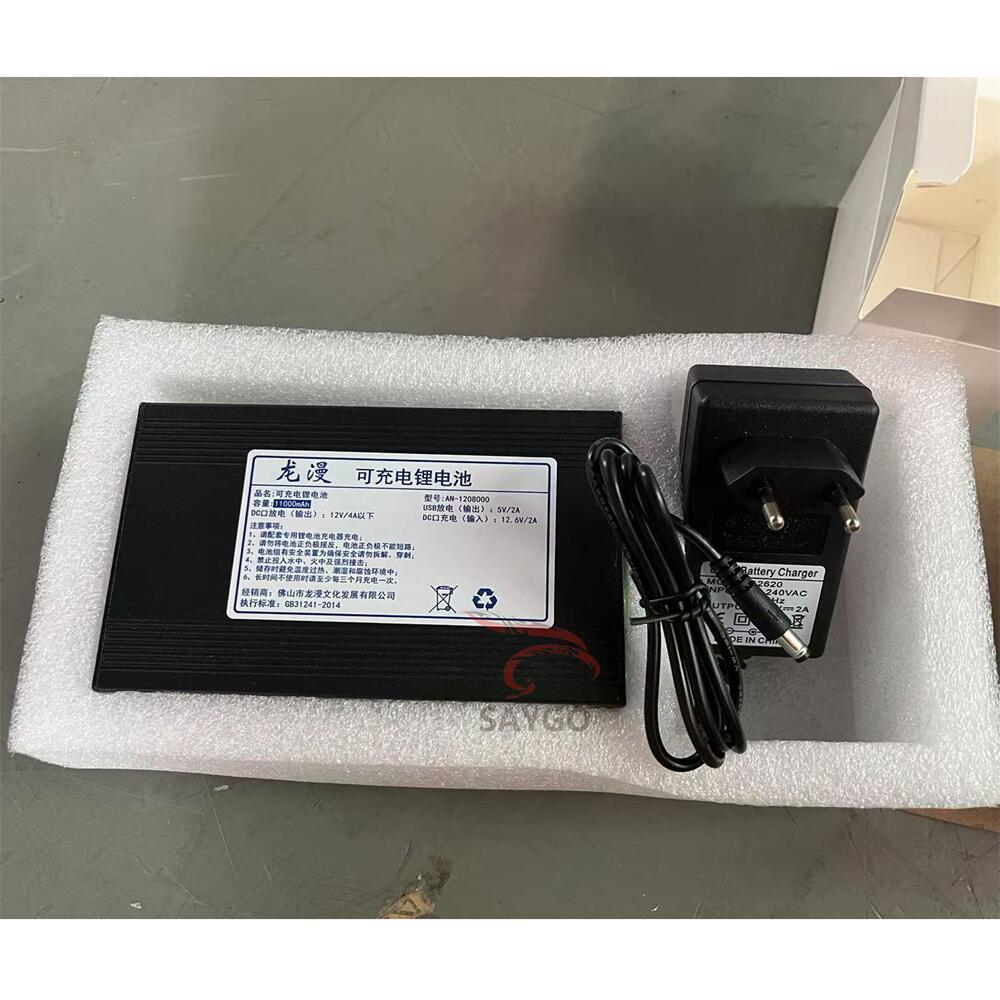 Commercial Inflatable Mascot Costumes Spare Parts Flithium Battery Packs for Panda Bear Costume With Electricity Charger