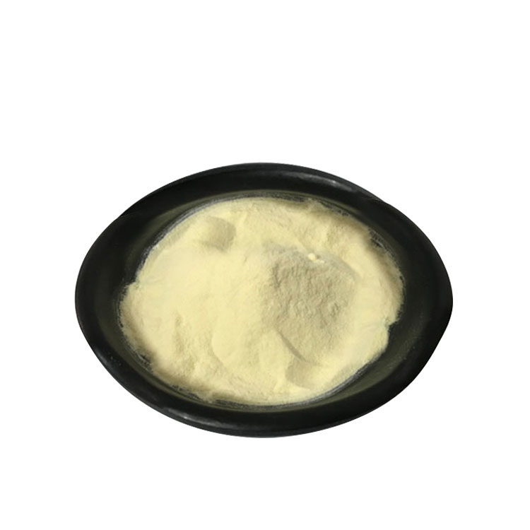 Lipoic Acid Factory Supply High Purity Lipoic Acid Powder Cas 62-46-4