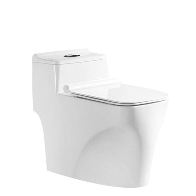 Two Piece Dual-flush Wc Ceramic Outdoor Hygienic Chaozhou Sanitary Ware Toilet